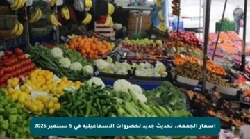 أسعار الجمعة.. تحديث جديد لخضروات الإسماعيلية في 5 سبتمبر 2025